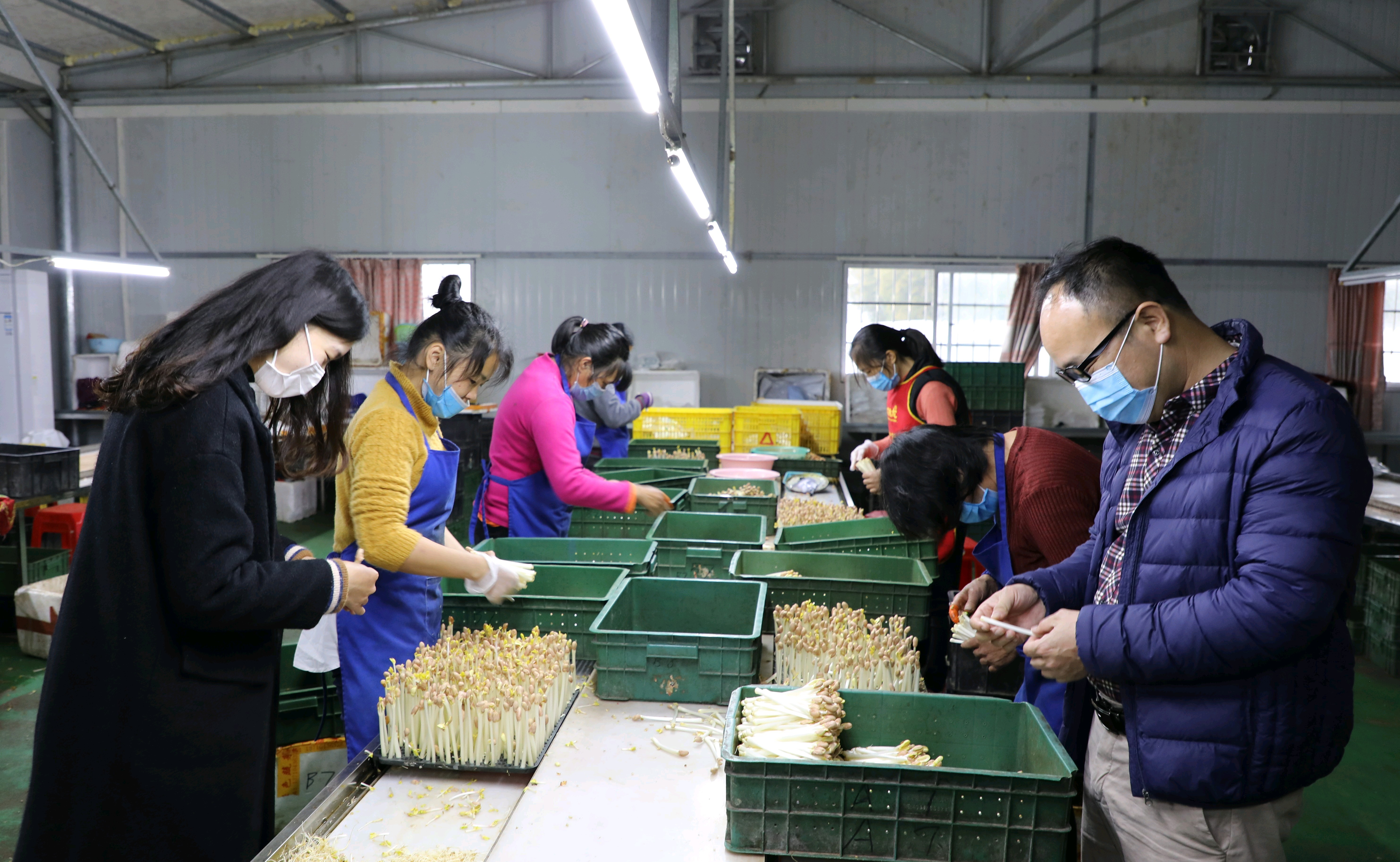 怀集老地谢朝芬图片