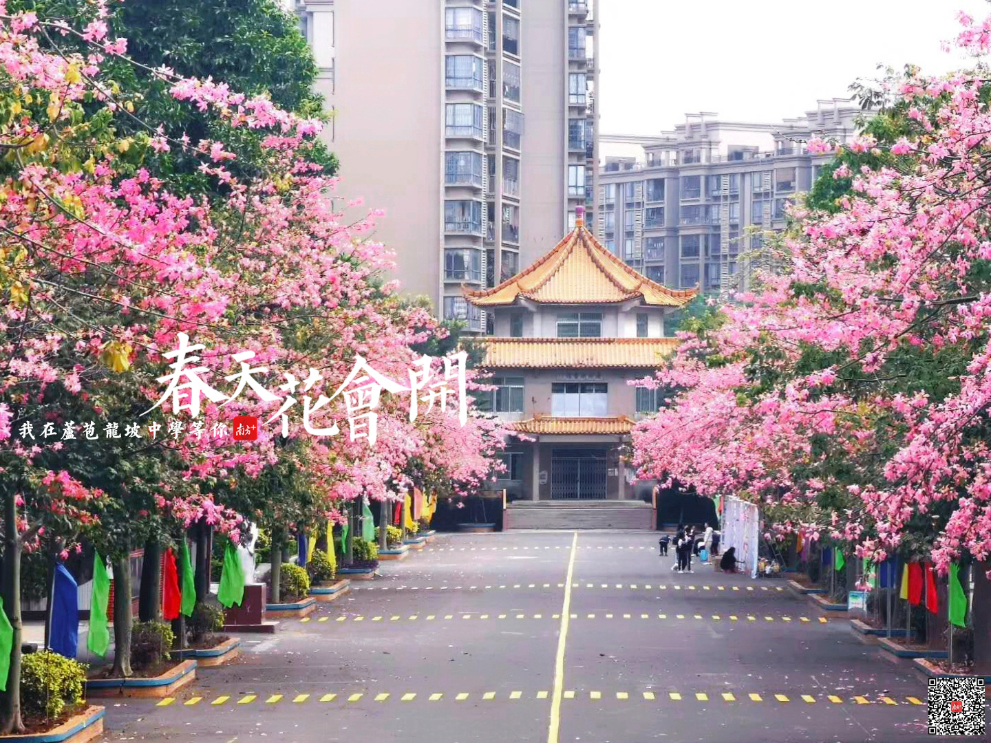三水龙坡中学