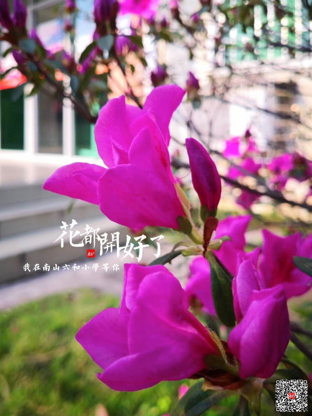南山六和小学