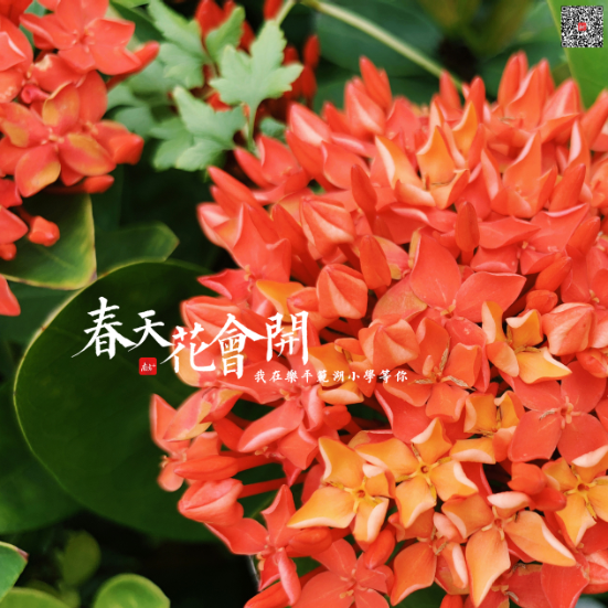 乐平范湖小学