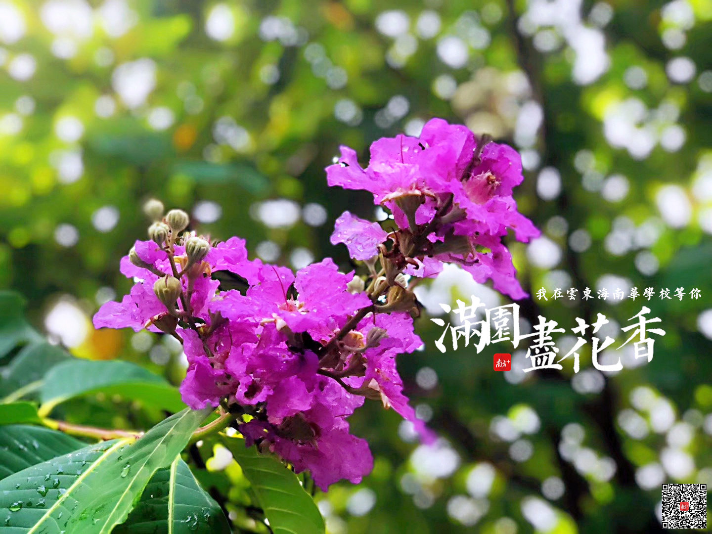 三水南华学校