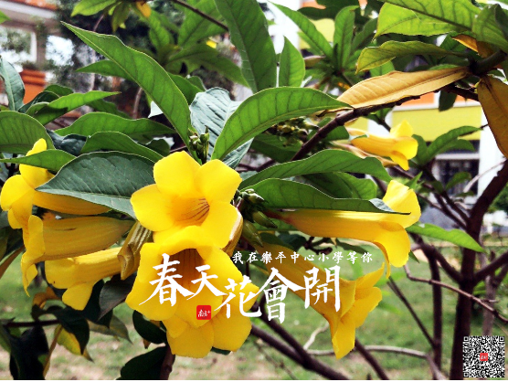 乐平中心小学