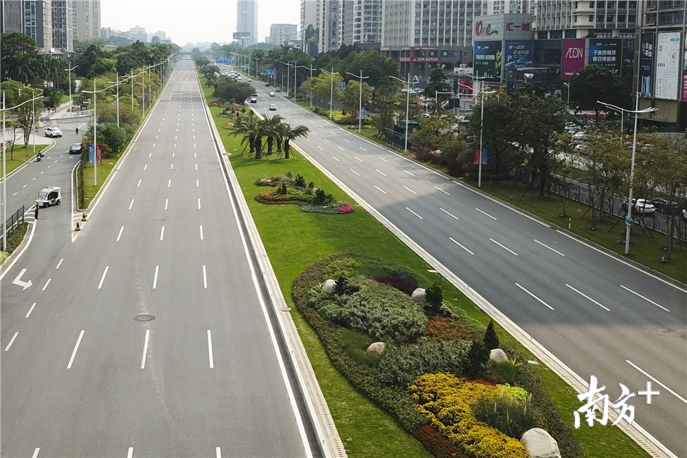 东莞大道经改造后,变成一条五彩缤纷的赏花大道.