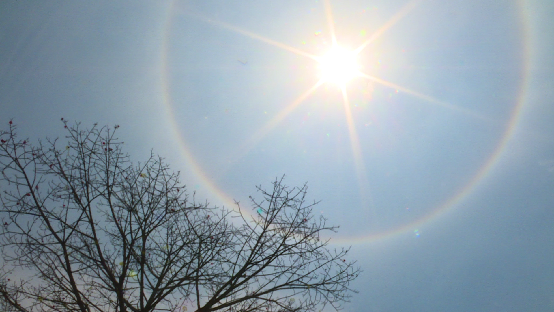 小城天空再现彩虹光圈,你看到了吗?