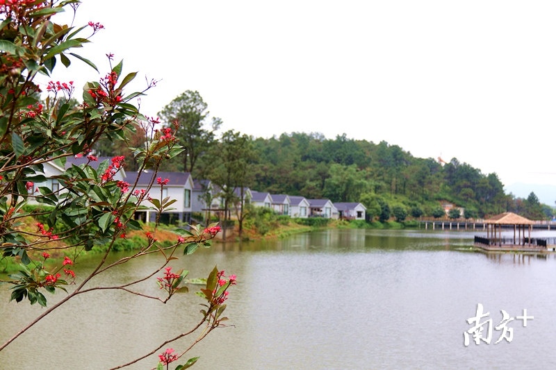 翔顺金水台温泉小镇养生谷一角