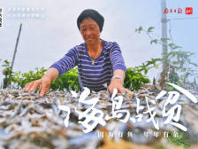 因为鱿鱼，年年有余！她们是怎么做到的|决战决胜脱贫攻坚