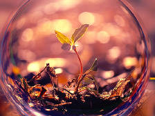 巧用中医药调节免疫，专家推荐了这些方法|健康随身听