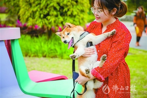 佛山新城绿道上,黎女士每次遛狗都会用犬绳牵领。王澍 摄 佛山新城绿道上,黎女士每次遛狗都会用犬绳牵领。王澍 摄