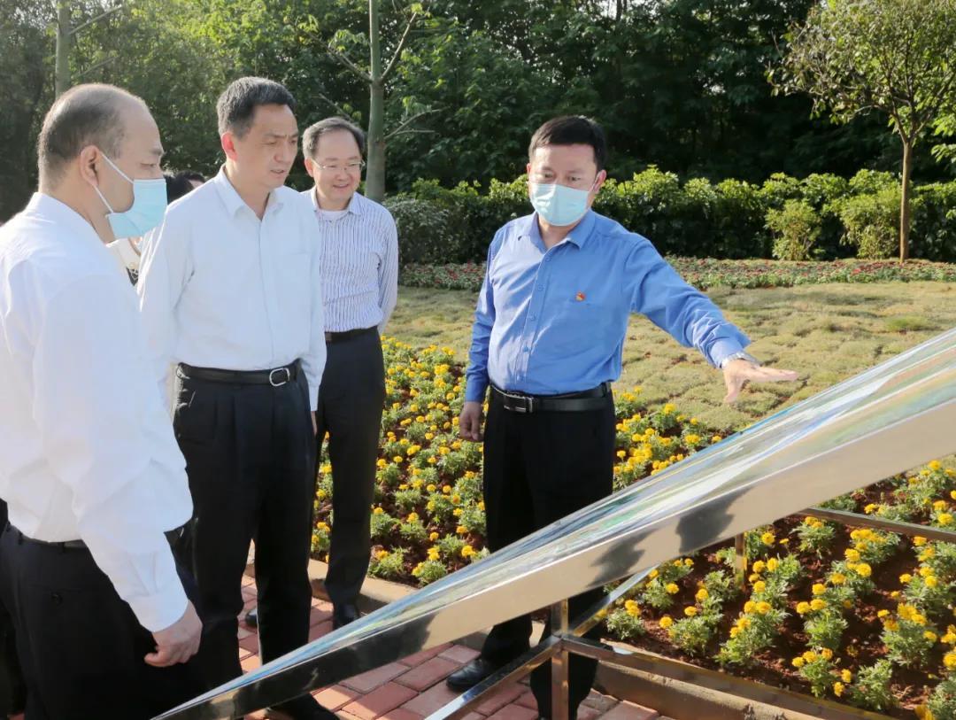 市委书记李红军、市长殷焕明率队在曲江大道与浈江大道交界点查看沿途小绿地建设情况。