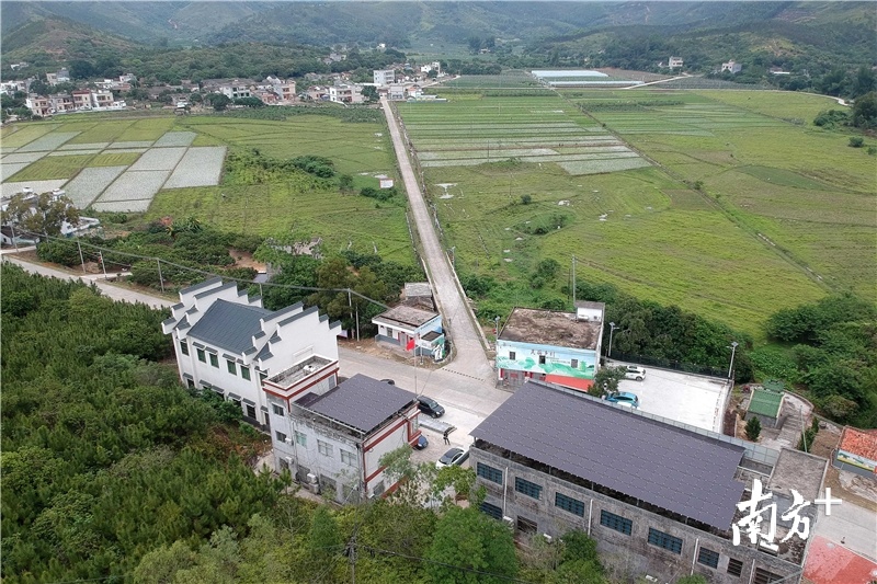 惠东县多祝镇八维村，硬底化的村道直达村民家门口。南方日报记者 梁维春 摄