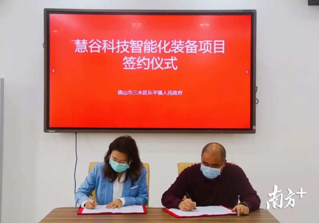 2月27日，三水区乐平镇与佛山慧谷科技股份有限公司签约，引入慧谷科技智能化装备项目，该项目总投资额超3亿元。 林洛峰 摄