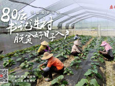 “80后”书记进村，脱贫好日子入户|决战决胜脱贫攻坚