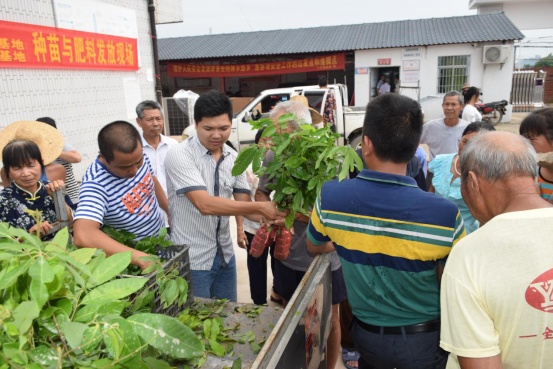 朱焱宗给贫困户免费发放种苗