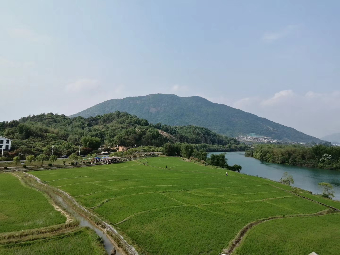 到田野大地去廣州鄉村遊有序復甦從化特色小鎮盡顯生態之美