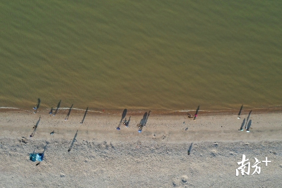 游客在海边逐浪