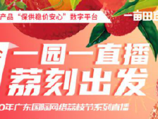 荔刻出发！徐闻荔枝首度开启一园一直播，意向订货26万斤
