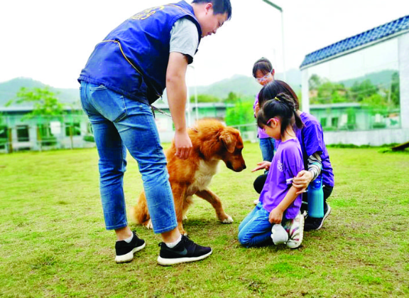 游客在训练员陪同下与藏獒近距离互动。