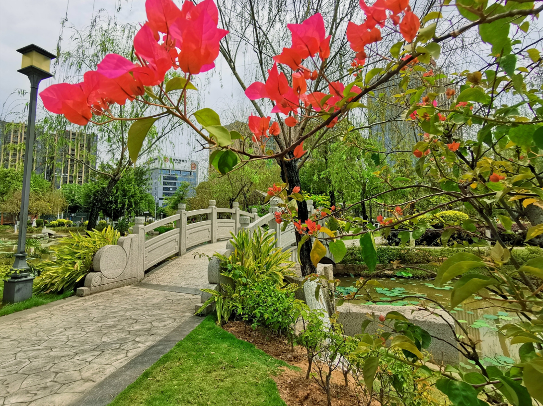 纷纷红紫已成尘，布谷声中夏令新。（摄影：刘成）