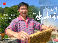 甜甜甜甜甜甜！寿乡深山蜂蜜“出山记”|决战决胜脱贫攻坚