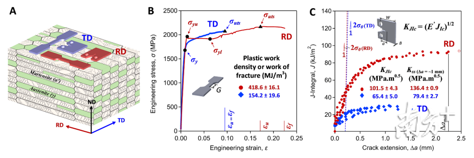 图2 （A）三维图解模型描述了样品加载方向与D&P钢组织结构的关系。（B）工程应力应变曲线。（C）J-积分阻力曲线。展示了D&P钢同時具有极高的屈服强度、韧性和均匀延伸率