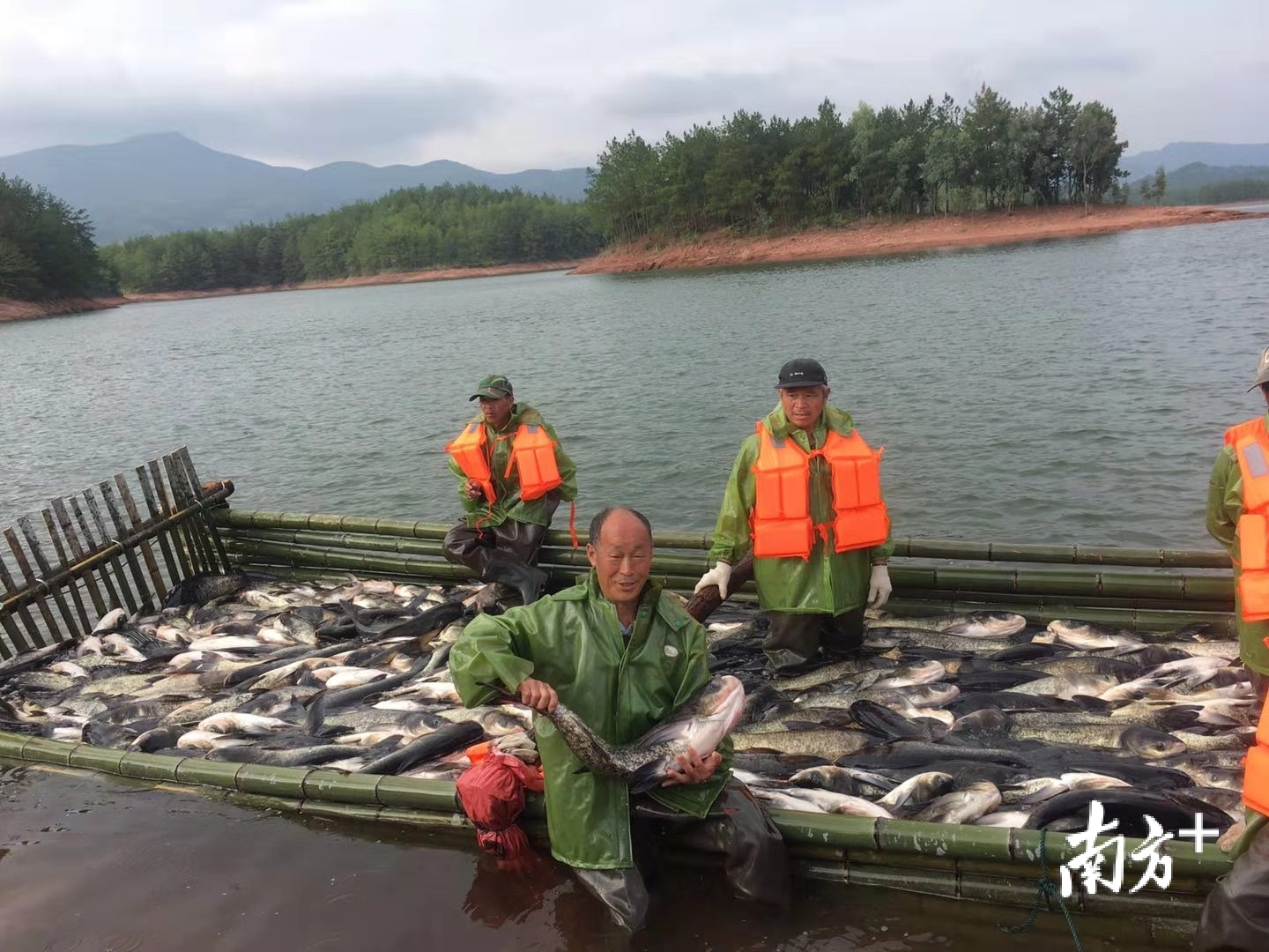 国投公司成功举办孔江百岛湖首届捕鱼节，与华南农业大学合作建立生态有机鱼产业研发基地打造“生态鱼”品牌。