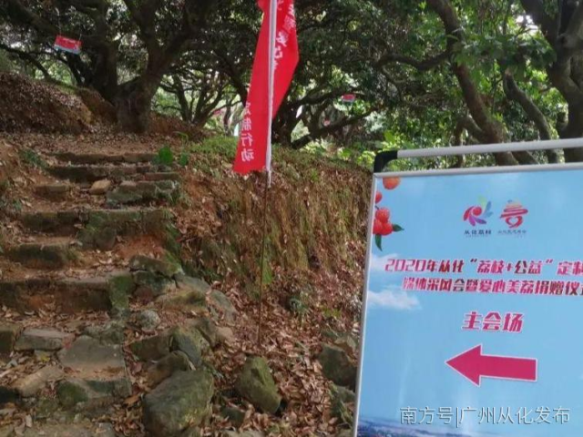 防疫助农齐接“荔”!从化“荔枝+公益”定制系列活动陆续开展