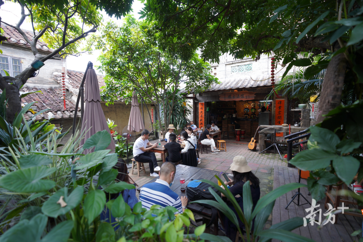 东莞文化四季四季如歌活动茶山现场