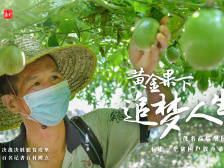 黄金果下追梦人：奔小康未来可期|决战决胜脱贫攻坚