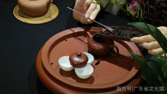 【非遗课堂】品一壶工夫茶,浓浓茶香滋润心田