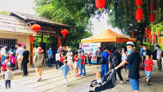 逛网红景点、打卡“非遗美食”……斗门乡村游“元气复活”！