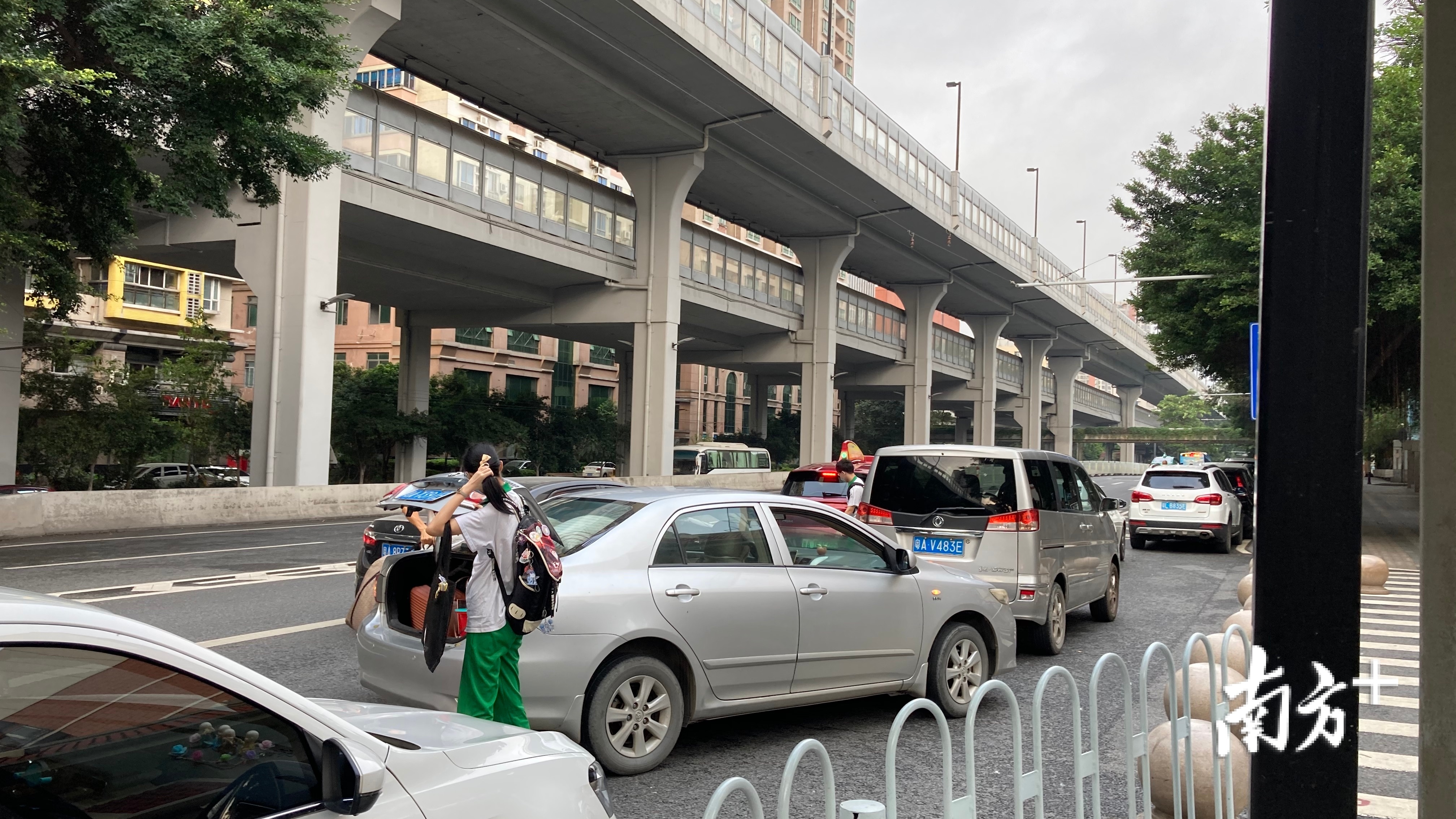 广州市育才中学门口停放多辆送学车辆。