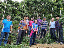 荔枝首席科学家陈厚彬：荔枝产业发展目标是三产总产值超千亿元！