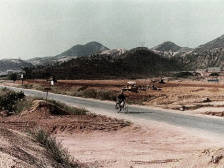 特区40年 | 扛着木箱闯深圳