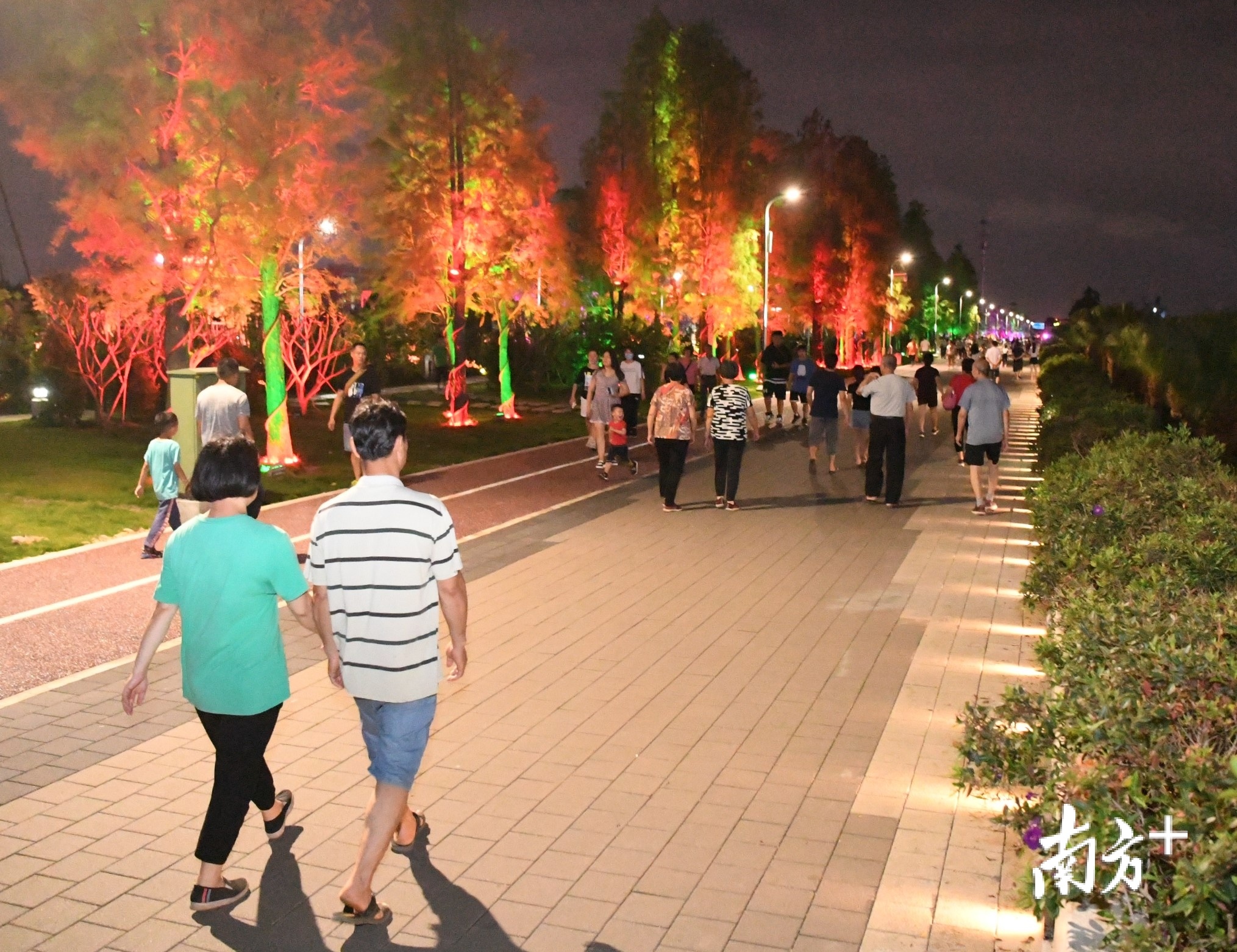 环岛公园试验段亮灯，附近居民夜里就有了好去处。杨兴乐 摄