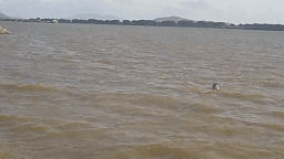 （治安大队民警王辉成立即跳下江里，尝试在事发江域寻找落水者）