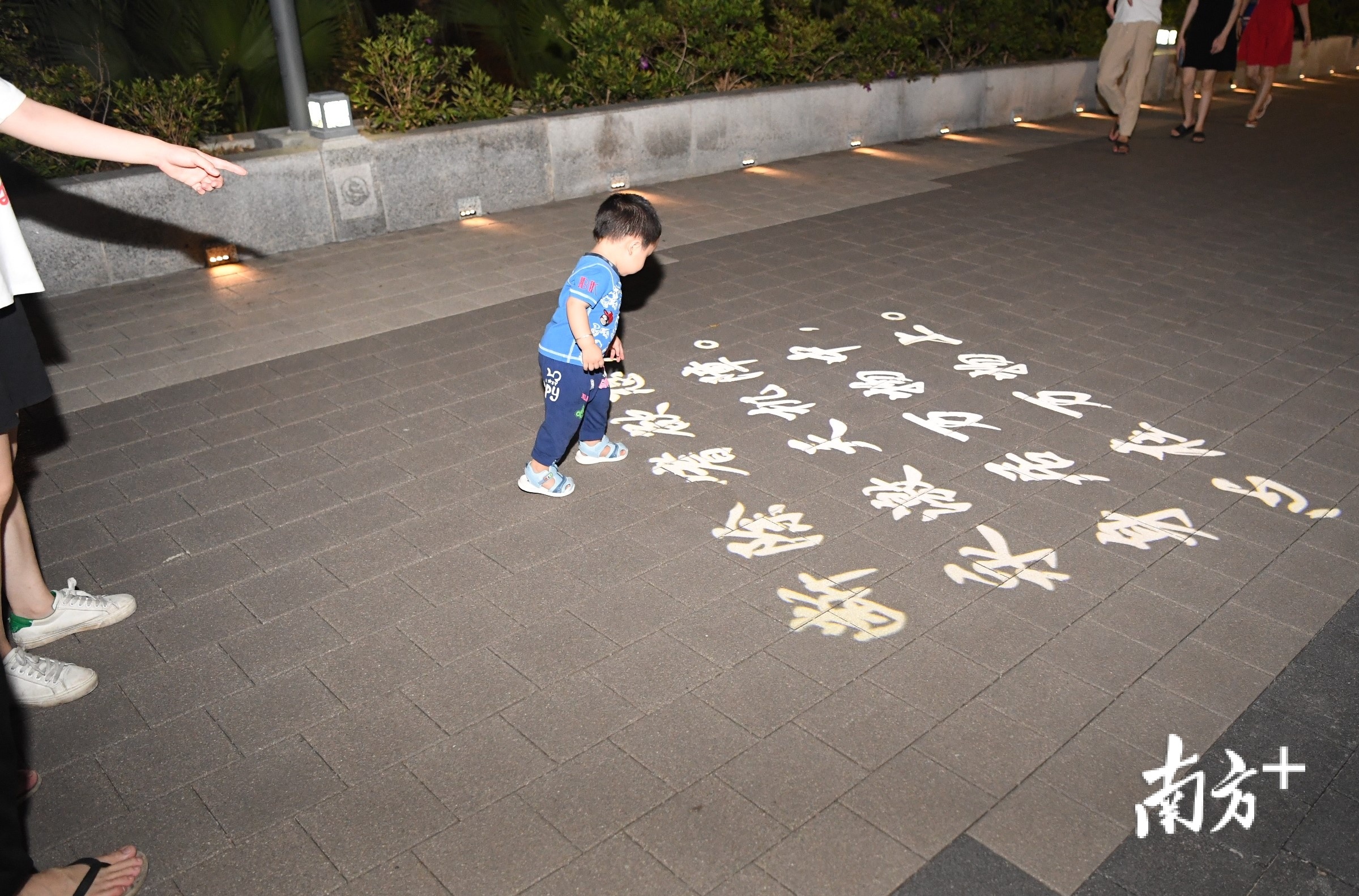 陈白沙诗词灯光投影吸引小朋友关注。 杨兴乐 摄