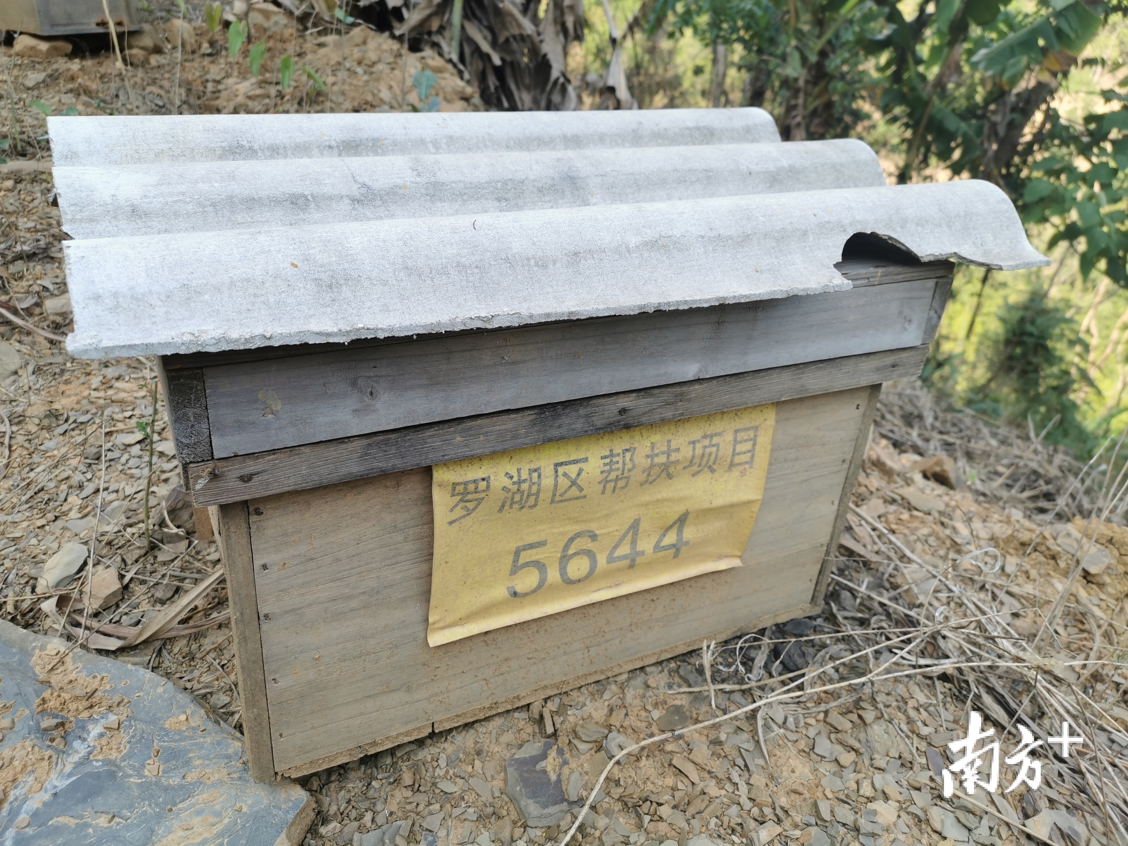 贫困户的蜂箱 贫困户的蜂箱