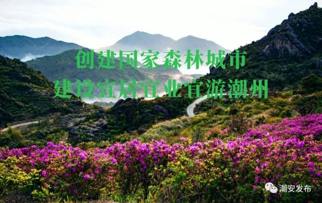 潮品牌排行榜_2020中国品牌女装联营加盟店排行榜前十