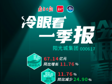 冷眼看一季报|阳光城为何不“阳光”？负债高企且现金流堪忧