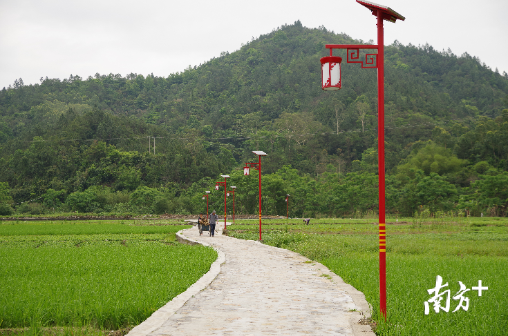 阳江阳春市山坪村