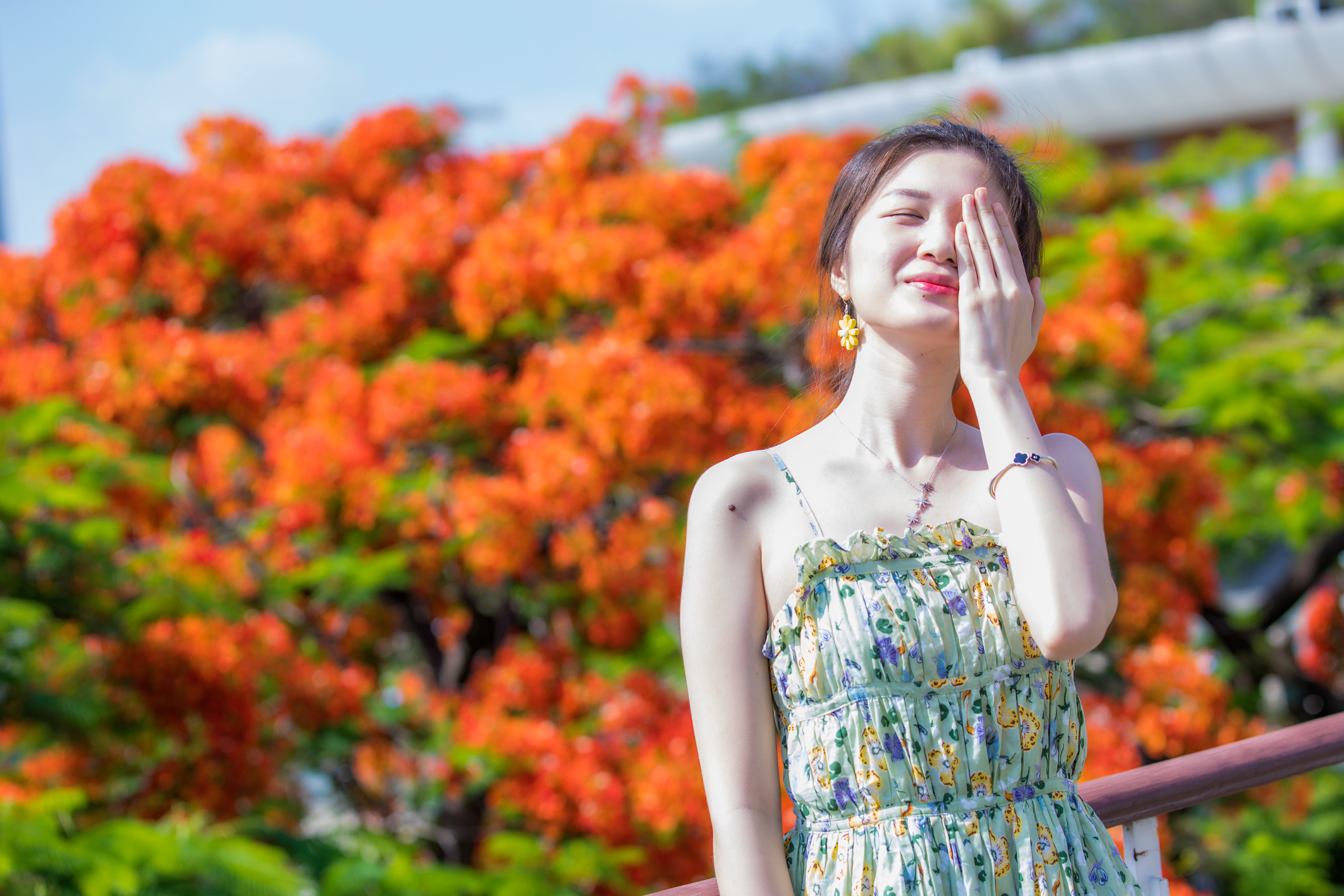 立夏刚过深圳的夏天便已开始肆意地张扬，炎热接踵而来。深圳华侨城生态广场的凤凰花也花开正旺。成为市民休闲赏花的网红之地。