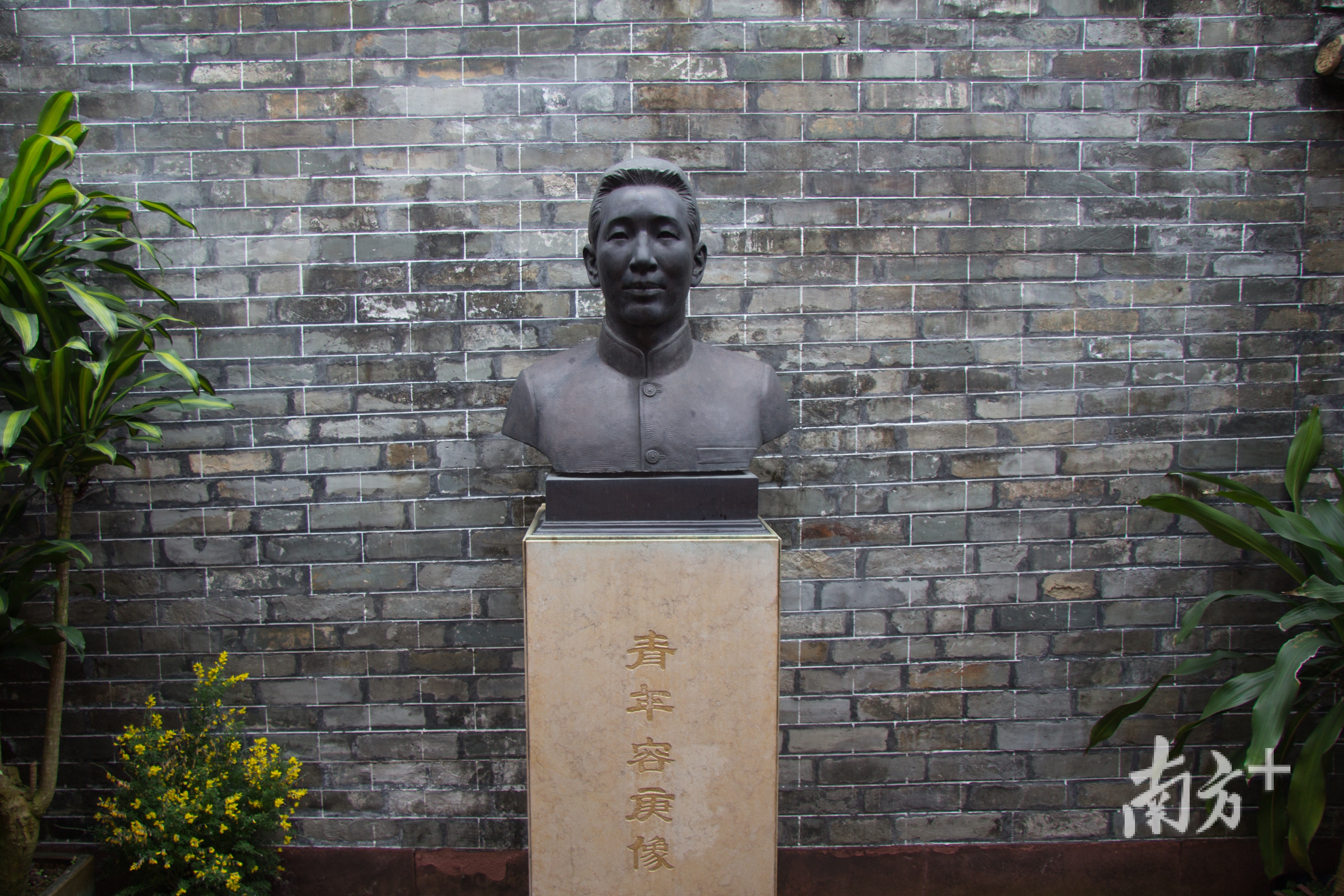 青年容庚像 青年容庚像