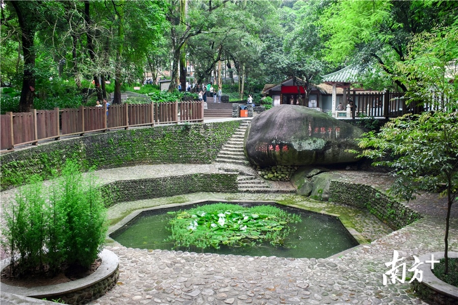 洗药池。