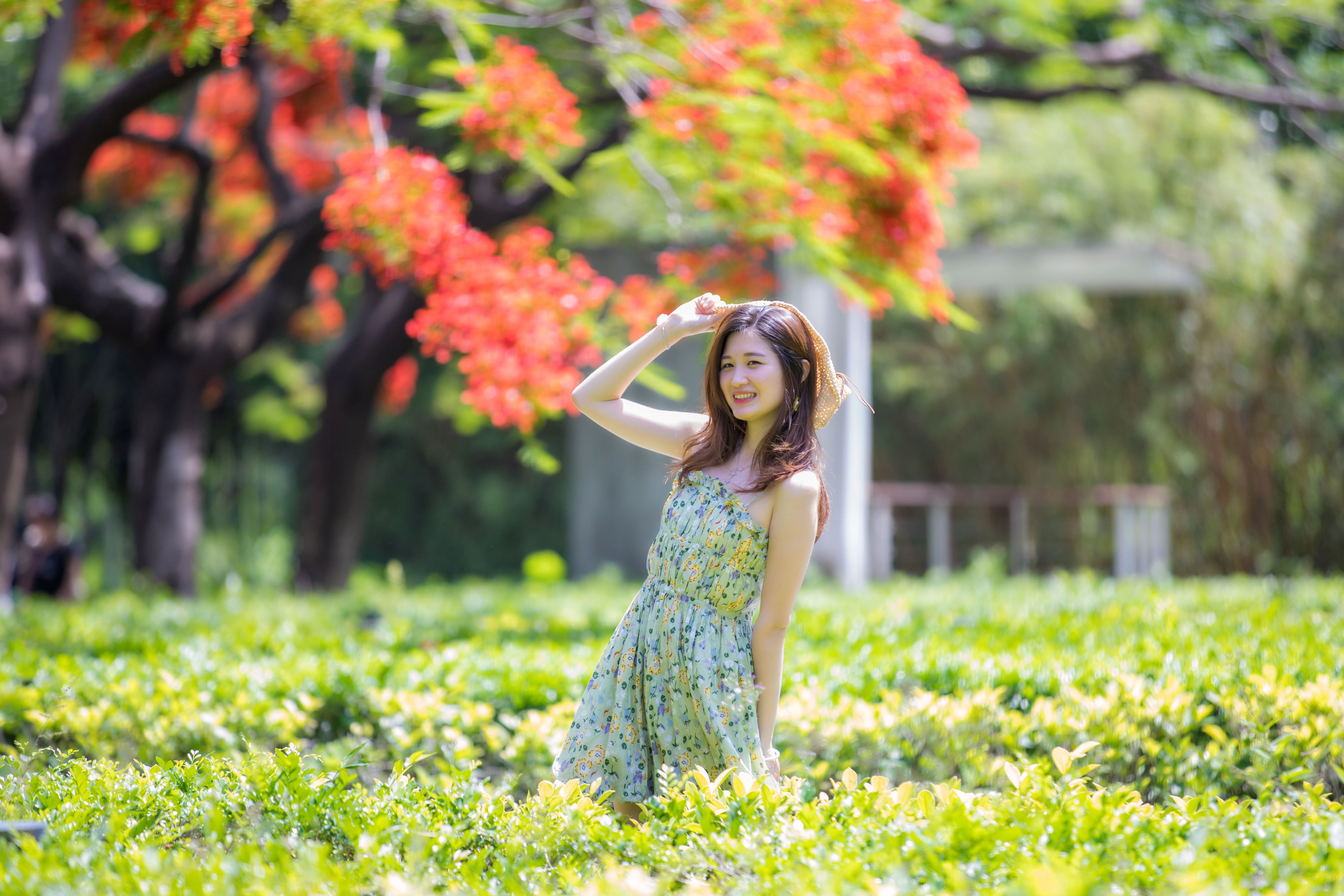 立夏刚过深圳的夏天便已开始肆意地张扬，炎热接踵而来。深圳华侨城生态广场的凤凰花也花开正旺。成为市民休闲赏花的网红之地。