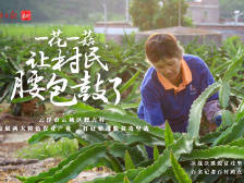 南方日报报道|云浮市云城区腰古村：一花一菇，让村民腰包鼓了