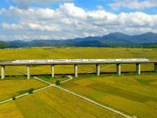 让高铁串联起五大经济特区！全国政协委员这样建议