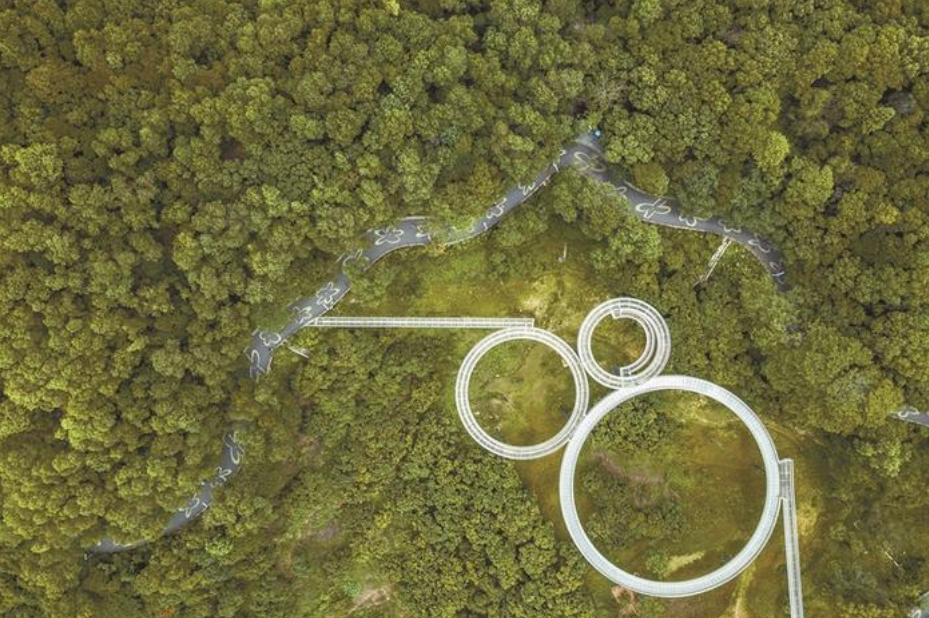 深圳特区报记者 何龙 摄