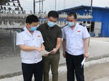 “鸽”不是传说！梅州兴宁税务聚焦脱贫攻坚，助推乡村振兴