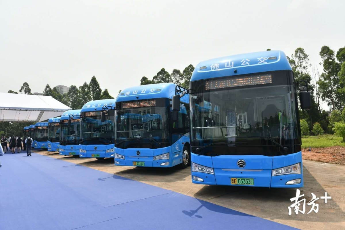 386辆南海氢能公交正式投运.戴嘉信 摄