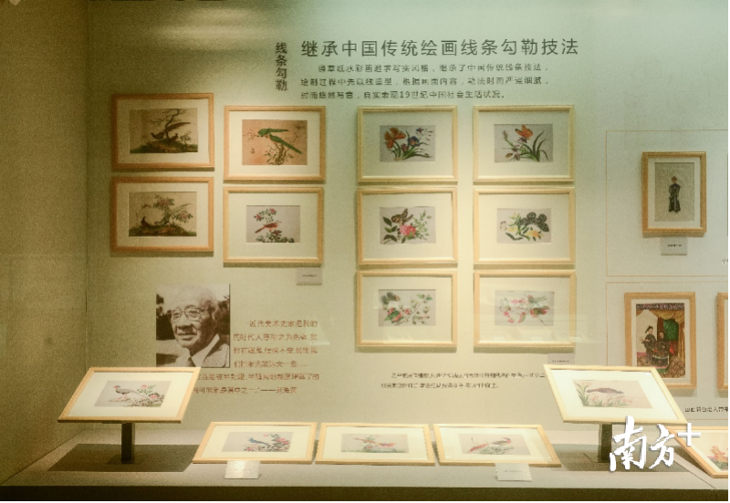 《广东名片——清代通草水彩画精品展》荣膺“第二届(2017—2018年度)广东省博物馆陈列展览精品奖”。 《广东名片——清代通草水彩画精品展》荣膺“第二届(2017—2018年度)广东省博物馆陈列展览精品奖”。